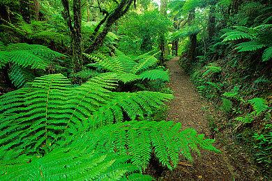 《超越善恶》20周年纪念版将新增奖励内容 与《超越善恶2》有关